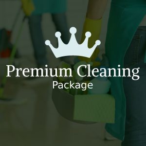Premium Clean – Deep Clean with Extra Attention